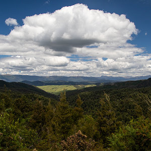 Aotearoa - Land der langen weissen Wolke