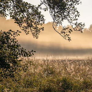 Herbstmorgen