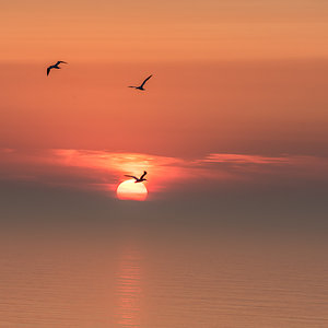 Helgoland