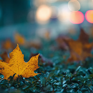 Herbst in der Stadt