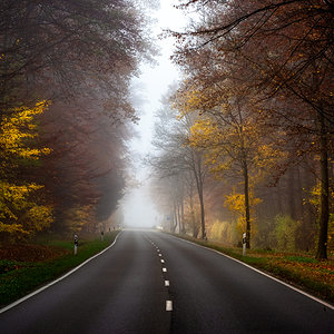 Kuck-auf-die-Strasse, Mann!.jpg