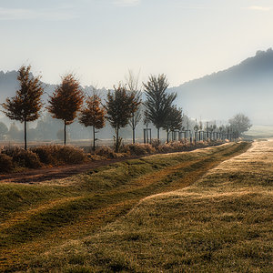 Herbst in Thüringen