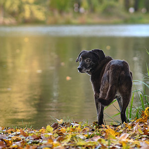 Herbstlicht