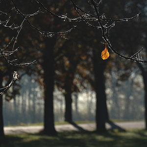 Wege im Herbst