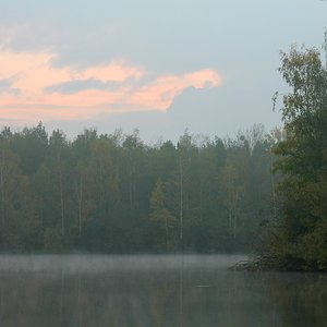 Morgennebel am See