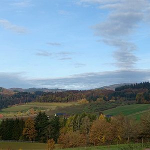 Spätherbst im Schwarzwald