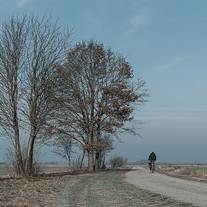 der Radfahrer