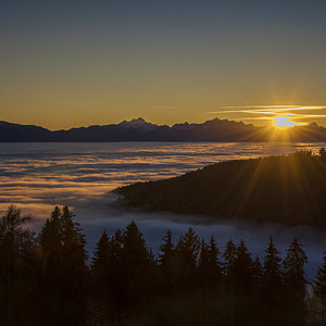 Unten Nebel oben Sonne.jpg