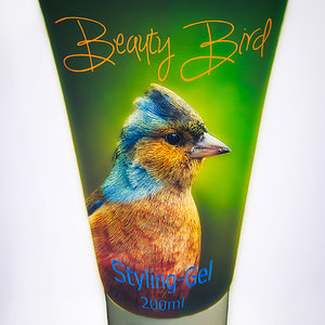 Beauty-Bird