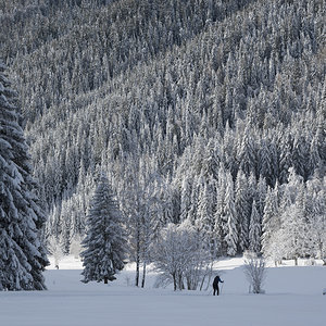 Ski Langlauf.jpg