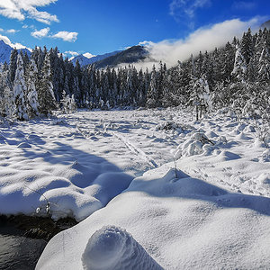 Winterlandschaft