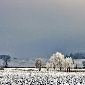 Der Raureif zaubert ein Winterwunderland