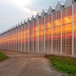 Gewächshäuser am Tag