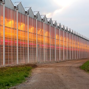 Gewächshäuser gespiegelt