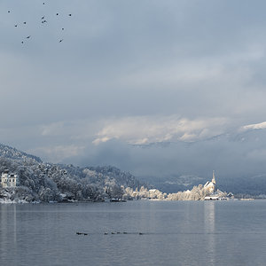 Winter am See.jpg
