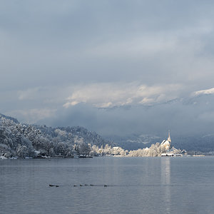 Winter am See 2.jpg