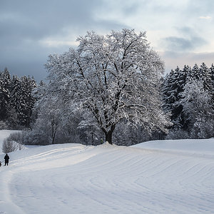 Winterwege.jpg