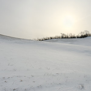 die Einsamkeit des Winters