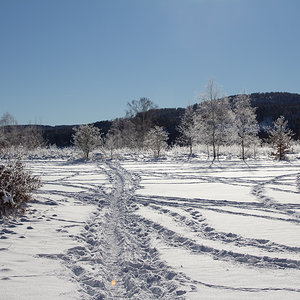 Spuren im Schnee