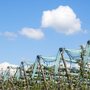 Wolkenfänger?