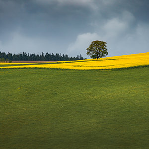 Solitär