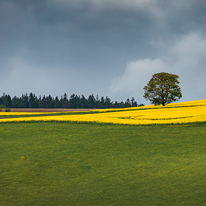 Solitär II