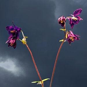 Wetter, sehr unbeständig