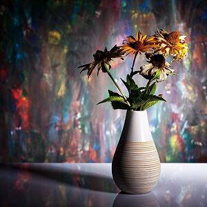 Vase mit verwelkten Blumen 01