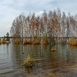 Wasserspiegel