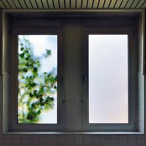 Fenster zum Garten