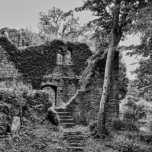 Burgansicht - Ruine Eberbach