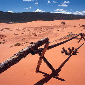 Coral Pink Sand Dunes.