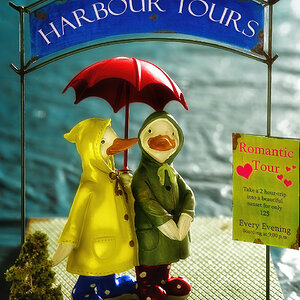 Harbour Tours I