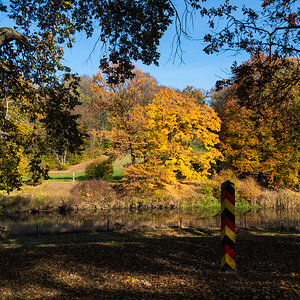 Herbst im Park 3