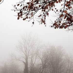 Wege im Nebel