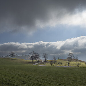 Novemberspaziergang II