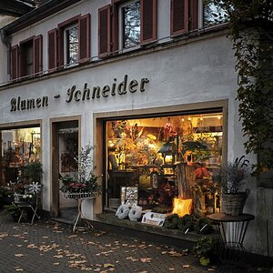 Blumen-Schneider