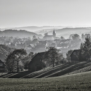 Morgennebel