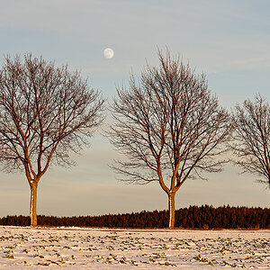 Winterabend