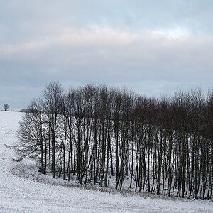 Winterruhe