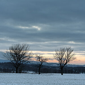 Winterlicht