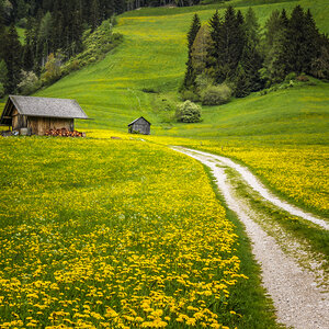 Frühling in Südtirol.jpg