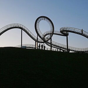 "Tiger and Turtle".jpg