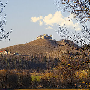 Burg Taggenbrunn