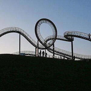 Tiger and Turtle II.jpg