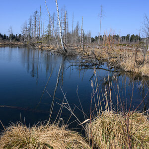 Moorweiher