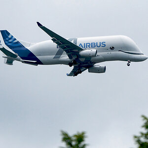 Airbus Beluga