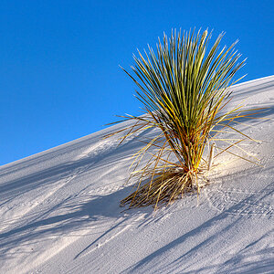 Spuren im Sand