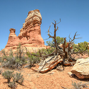 Arches N.P.