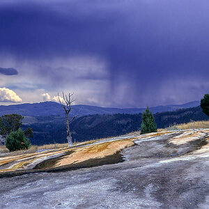 Mammoth Hot Springs.jpg